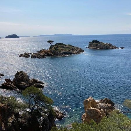 Atelierchic Bed & Breakfast Le Lavandou Exterior foto