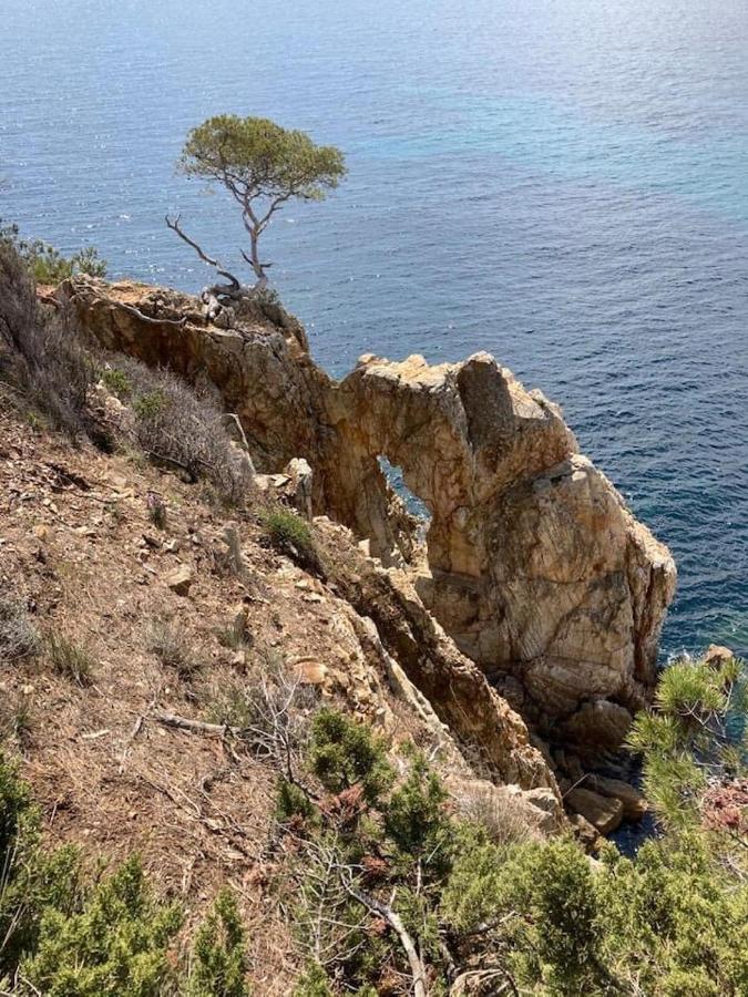 Atelierchic Bed & Breakfast Le Lavandou Exterior foto