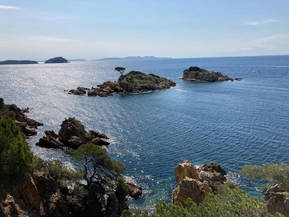 Atelierchic Bed & Breakfast Le Lavandou Exterior foto